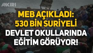 MEB açıkladı: 530 bin Suriyeli devlet okullarında eğitim görüyor!