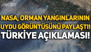 NASA, Türkiye'deki orman yangınlarının uydu görüntülerini paylaştı!