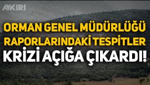 Orman Genel Müdürlüğü raporlarındaki tespitler krizi açığa çıkardı!