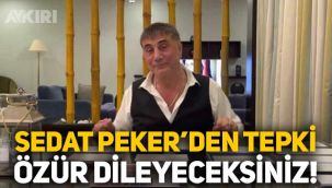 Sedat Peker'den BAE tepkisi:
