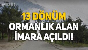 Sinop'ta 13 dönümlük ormanlık alan imara açıldı: Emniyet binası ve lojman yapılacak