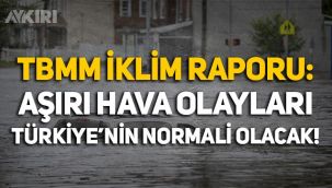TBMM raporu: