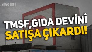 TMSF, Aynes Gıda'yı satışa çıkardı!