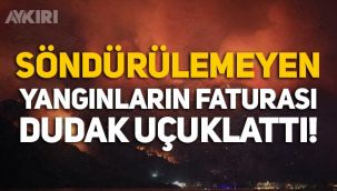 Türkiye'deki orman yangınlarının faturası belli oldu!