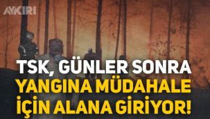 TSK, günler sonra yangına müdahale için alana giriyor!