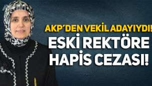 AKP'den milletvekili olamayan eski rektör Ayşegül Jale Saraç'a hapis cezası!