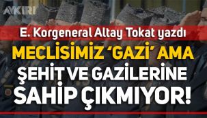 Altay Tokat: