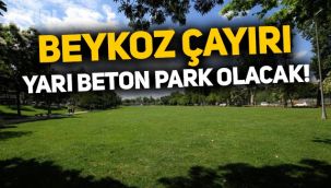 Asırlık Beykoz Çayırı, yarı beton park oluyor: Millet Bahçesi yapılacak!