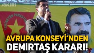 Avrupa Konseyi Bakanlar Komitesi'nden Selahattin Demirtaş ve Osman Kavala kararı!