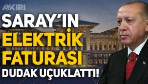 CHP'li Gürsel Tekin: 