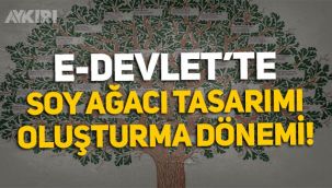 E-Devlet'te soy ağacı oluşturma dönemi! Soy ağacı nasıl oluşturulur? Soy ağacı oluşturma adresi