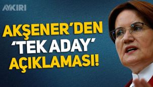 Meral Akşener: Cumhurbaşkanlığı seçimine tek aday ile gidilmeli