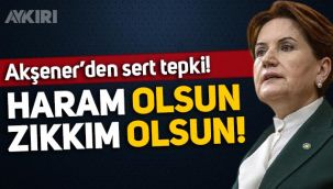 Meral Akşener'den sert tepki: