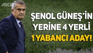 Milli Takım'da Şenol Güneş'in yerine gelebilecek isimler belli oldu!