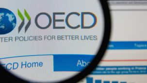 OECD, Türkiye ekonomisi için iyimser