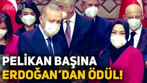 Pelikan başı Hilal Kaplan'a Erdoğan'dan 