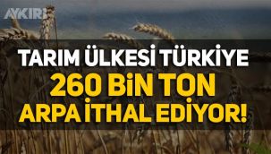 Tarım ülkesi Türkiye 260 bin ton arpa ithal ediyor!