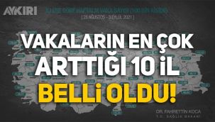 Vakaların en çok arttığı 10 il belli oldu: İşte illere göre haftalık vaka sayısı!