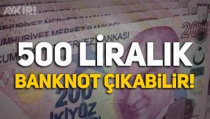 '500 liralık banknot gündeme gelebilir!'