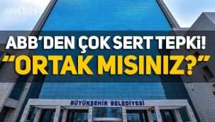 ABB'den çok sert açıklama! Kitre Bebek haberlerinin gerçeği yansıtmadığı ortaya çıktı