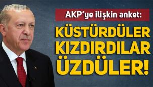 AKP anketinden çarpıcı sonuç: Küstürdüler, kızdırdılar, üzdüler