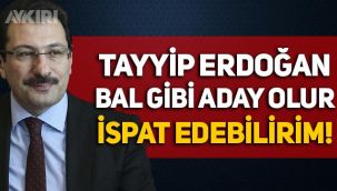 AKP'li Ali İhsan Yavuz: Erdoğan bal gibi aday olur, ispat edebilirim