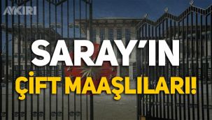 Cumhurbaşkanlığı Sarayı'ndaki çift maaşlılar!