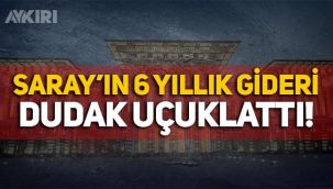 Cumhurbaşkanlığı Sarayı'nın giderleri dudak uçuklattı