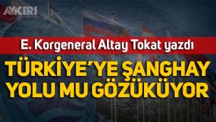 E. Korgeneral Altay Tokat yazdı: