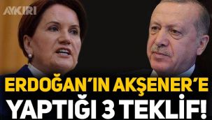 Erdoğan'ın Meral Akşener'e yaptığı 3 teklif
