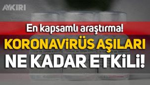 Koronavirüs aşıları ne kadar etkili? En kapsamlı araştırmanın sonuçları açıklandı
