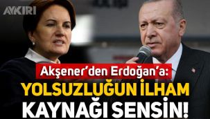 Meral Akşener'den Erdoğan'a tepki: