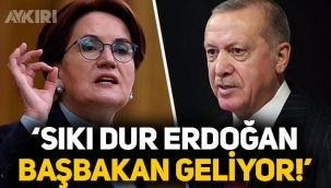 Meral Akşener: