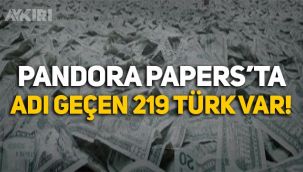 Necati Doğru: Pandora Papers'ta adı geçen 219 Türk kim?