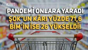 Pandemi dönemide ŞOK ve BİM'in Kârı fırladı!