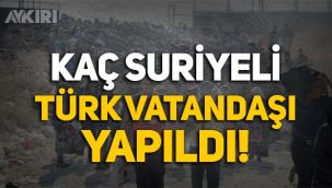 Rapor: 174 bin Suriyeli, Türk vatandaşı yapıldı!