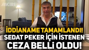 Sedat Peker iddianamesi tamamlandı: İşte istenen cezalar...