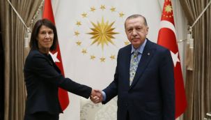 Şok iddia: Türkiye, Hollanda Büyükelçisini sınır dışı etti