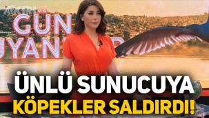 Sunucu Ela Rümeysa Cebeci'ye köpekler saldırdı!