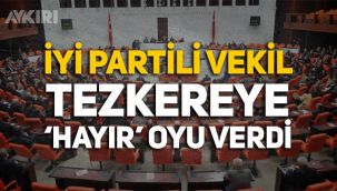 Suriye ve Irak tezkeresine