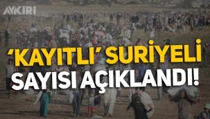 Türkiye'de kaç Suriyeli var? Göç İdaresi 'kayıtlı' Suriyeli sayısını açıkladı!