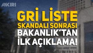 Türkiye'nin gri listeye alınması sonrasında Maliye Bakanlığı'ndan açıklama