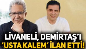 Zülfü Livaneli, Selahattin Demirtaş'ı