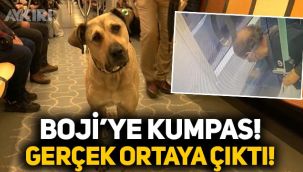 Boji'ye atılan 'tramvaya pisledi' iftirasında gerçek ortaya çıktı!