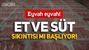 CHP'den korkutan açıklama: Et ve süt sıkıntısı yaşanacak