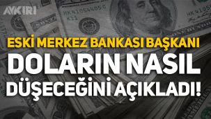 Eski Merkez Bankası Başkanı Durmuş Yılmaz doların nasıl düşeceğini açıkladı!