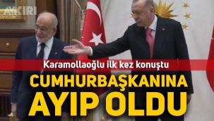 Karamollaoğlu Erdoğan görüşmesi hakkında ilk kez konuştu: 