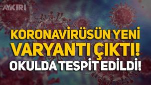 Koronavirüsün yeni varyantı okulda ortaya çıktı: B.1.640