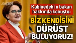 Meral Akşener'de Bakan Lütfi Elvan hakkında: