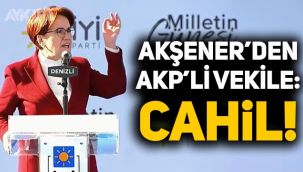 Meral Akşener'den AKP'li Cahit Özkan'a: Cahil!
